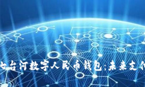 深度解析七台河数字人民币钱包：未来支付的新趋势