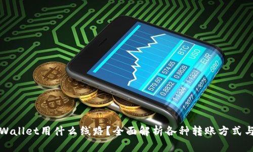 提币到TPWallet用什么线路？全面解析各种转账方式与注意事项