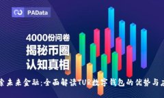 探索未来金融：全面解读TUR数字钱包的