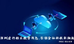 深圳建行推出数字钱包，引领金融科技