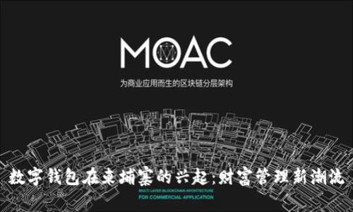 数字钱包在柬埔寨的兴起：财富管理新潮流