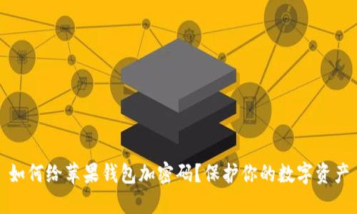 如何给苹果钱包加密码？保护你的数字资产