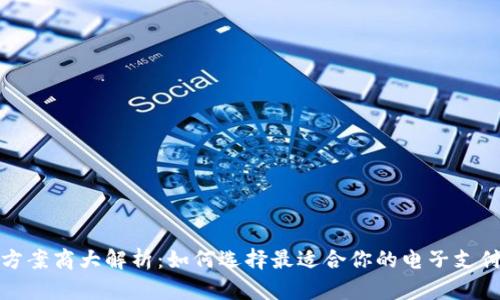 数字钱包方案商大解析：如何选择最适合你的电子支付解决方案