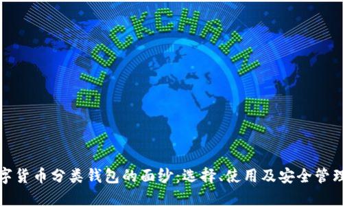 揭开数字货币分类钱包的面纱：选择、使用及安全管理全攻略