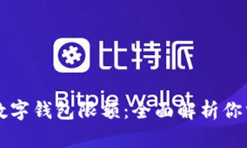 中国银行二类数字钱包限额：全面解析你需要知道的一切