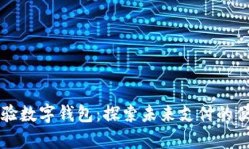 申雪体验数字钱包：探索未来支付的便捷之旅