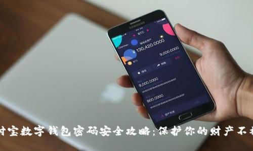支付宝数字钱包密码安全攻略：保护你的财产不被盗