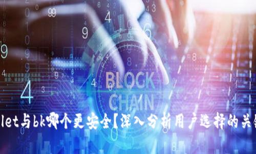 tpwallet与bk哪个更安全？深入分析用户选择的关键因素