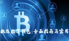 如何挑选数字钱包：全面指南与实用建