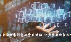 如何查询数字钱包的费用明细：一步步