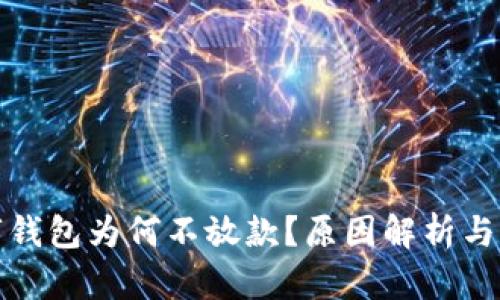 探究数字钱包为何不放款？原因解析与解决方案