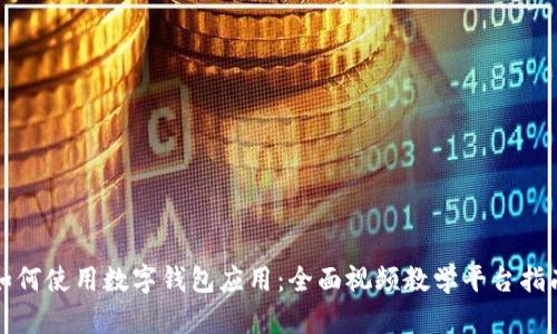 如何使用数字钱包应用：全面视频教学平台指南
