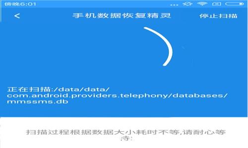 探索全面币种钱包：满足你所有的加密货币需求