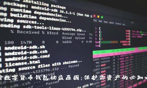 解密数字货币钱包被盗原因：保护你资产的必知之道
