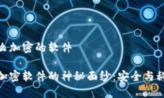 数字钱包用什么加密的软件揭开数字钱