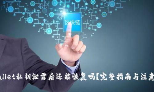 tpwallet私钥泄露后还能恢复吗？完整指南与注意事项