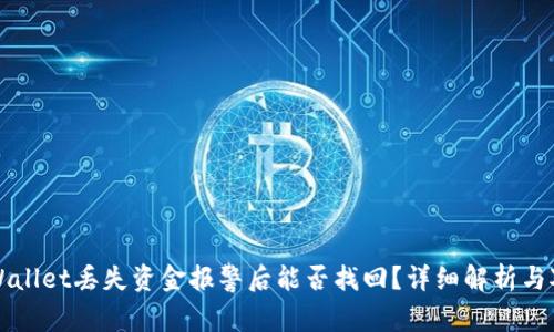 TPWallet丢失资金报警后能否找回？详细解析与对策