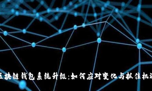 区块链钱包系统升级：如何应对变化与抓住机遇