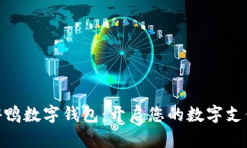 探索游游鸭数字钱包：开启您的数字支付新体验