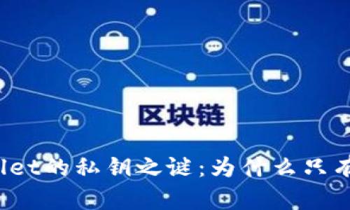 TPWallet的私钥之谜：为什么只有私钥？