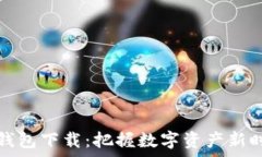   tp国际数字钱包下载：把握数字资产