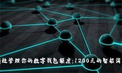 如何有效管理你的数字钱包额度：12