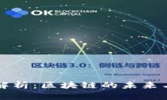 TPWallet项目方深度解析：区块链的未来