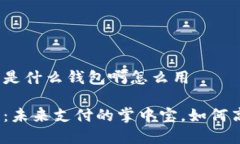 数字钱包是什么钱包啊怎么用数字钱包