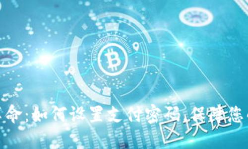 数字钱包革命：如何设置支付密码，保障您的资金安全