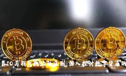 区块链交易ID与钱包地址的区别：深入探讨数字货币的基础概念