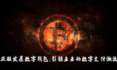 亚联发展数字钱包：引领未来的数字支