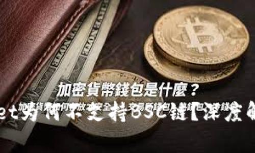 电脑版TPWallet为何不支持BSC链？深度解析与解决方案