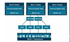 电脑版TPWallet为何不支持BSC链？深度解