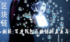深入剖析：百度钱包区块链的未来与潜