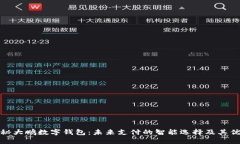 探秘大鹏数字钱包：未来支付的智能选