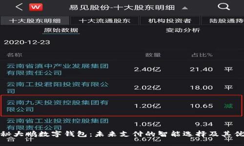 探秘大鹏数字钱包：未来支付的智能选择及其优势