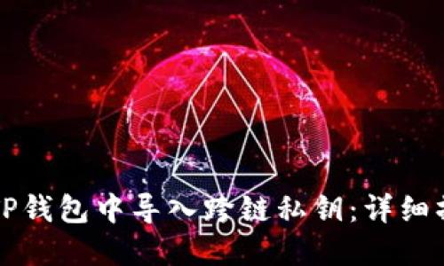 如何在TP钱包中导入跨链私钥：详细操作指南