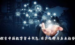 探索中国数字货币钱包：顶尖选择与未
