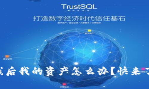 TPWallet下线后我的资产怎么办？快来了解应对策略！