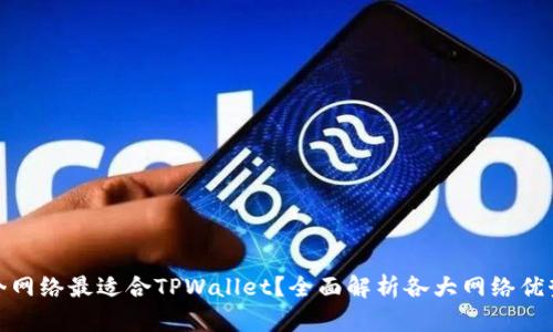 选择哪个网络最适合TPWallet？全面解析各大网络优势与劣势