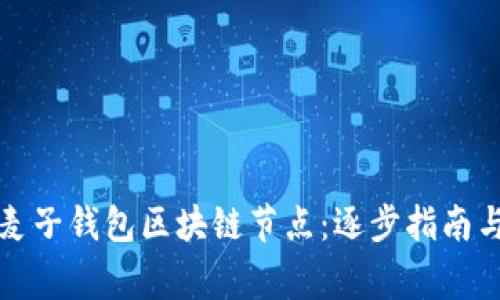 如何轻松搭建麦子钱包区块链节点：逐步指南与常见问题解答