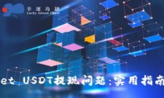 page如何解决TPWallet USDT提现问题：实用