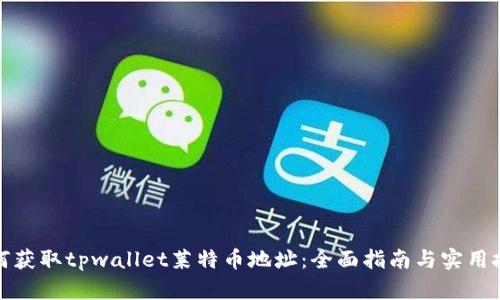如何获取tpwallet莱特币地址：全面指南与实用技巧