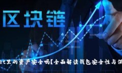 tpwallet里的资产安全吗？全面解读钱包
